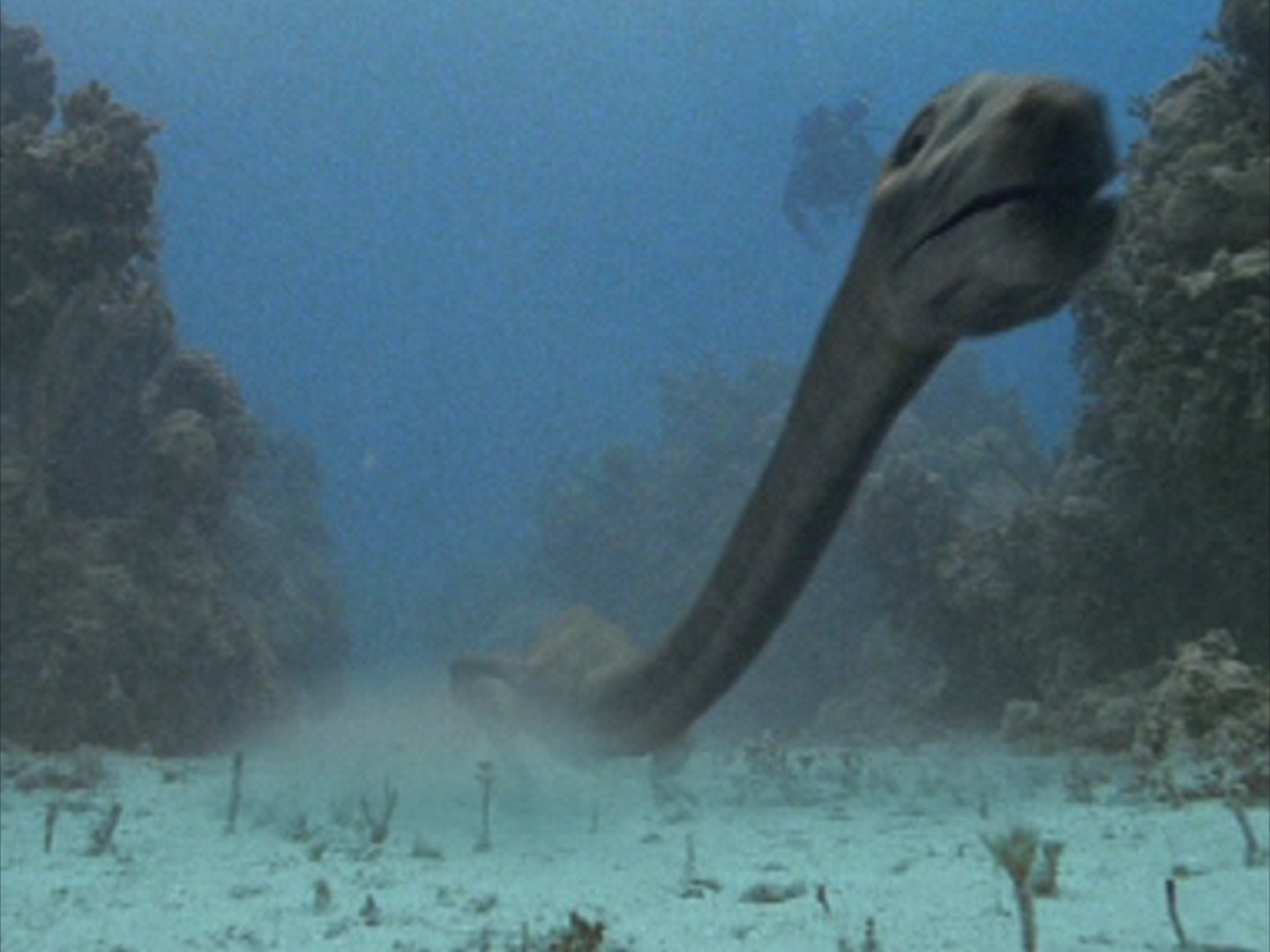 tanystropheus dinosaur
