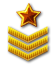 Sergeant-Major Rank