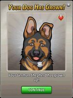 DogLevelUp 3 GrowUp