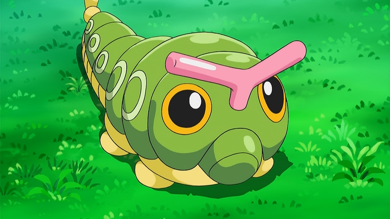 caterpie sitting cuties