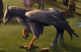 hogwarts legacy onyx hippogriff reddit