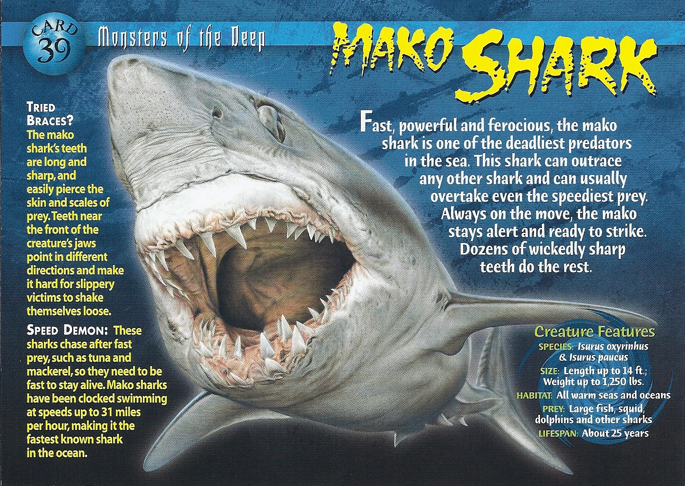 Mako Shark Wierd N'wild Creatures Wiki