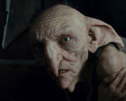 Kreacher (1)