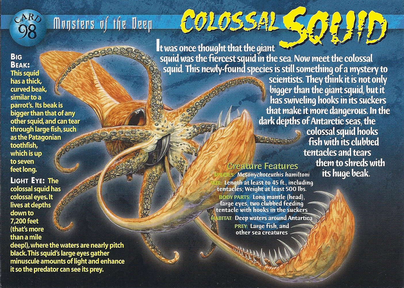 colossal-squid-wierd-n-wild-creatures-wiki