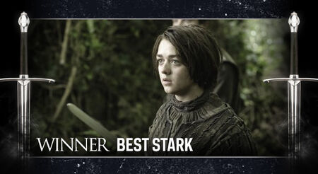GOT AwardFrame Stark