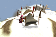 Tent repair