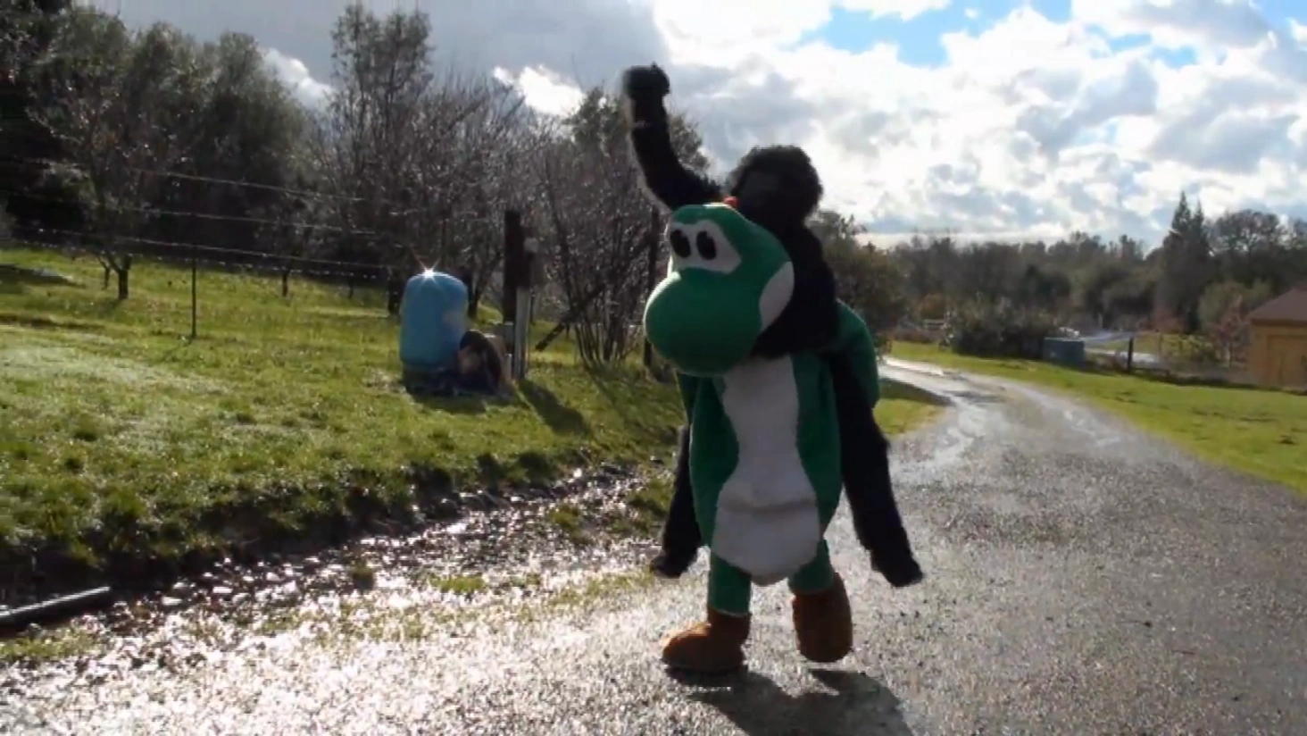 Yoshi Stupid Mario Brothers Wiki