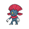 Weavile XY