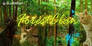 ForestClan