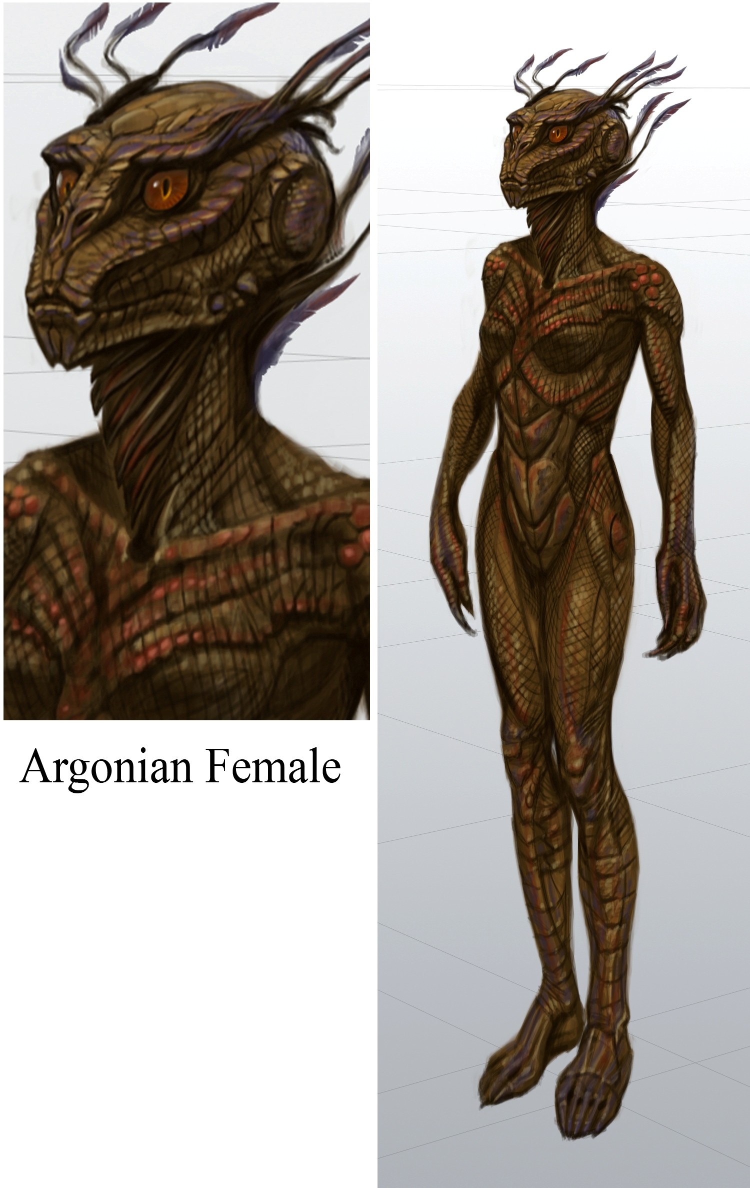 Image Argonian Female The Elder Scrolls Wiki 7062