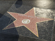 ForthRightEstrellaGTAV