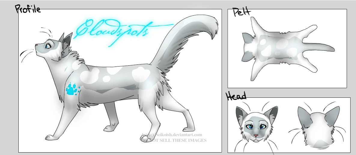 Image Cloudspots.jpg Free Realms Warrior Cats Wiki