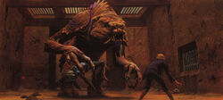 MCQ-Rancor