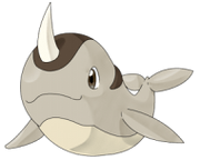 Narwhal02-hd