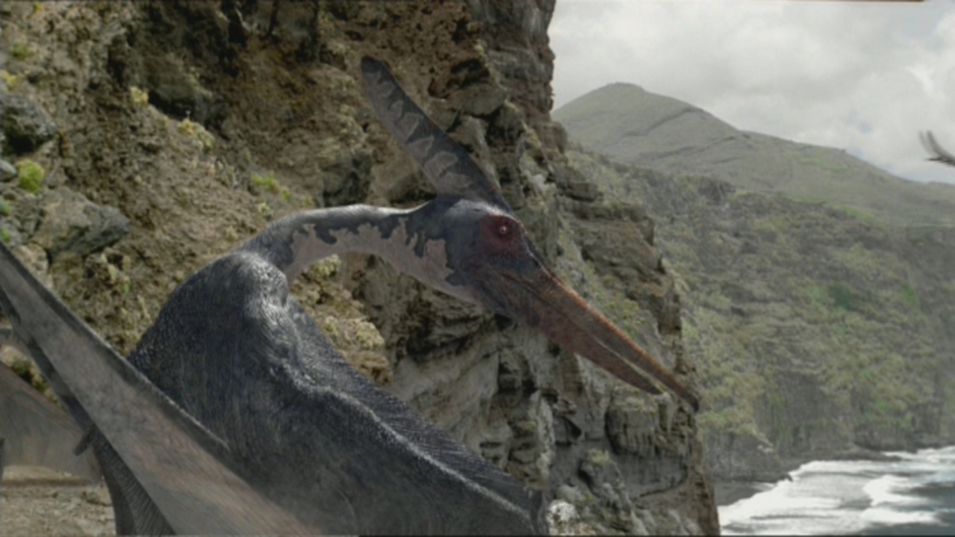 real pteranodon