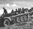SdKfz 10
