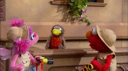 Episode 4221 - Muppet Wiki