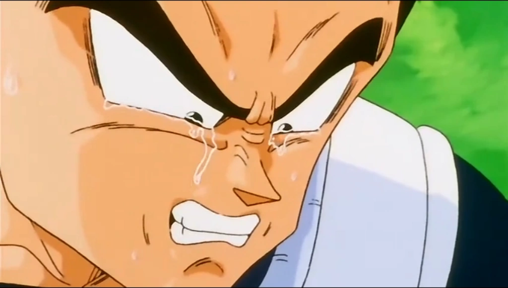 static3.wikia.nocookie.net/__cb20110924062561/dragonball/images/b/b9/Vegeta_Crying.png
