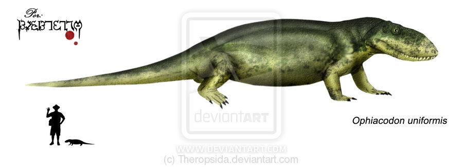 Image - Ophiacodon uniformis.jpg - Dinopedia