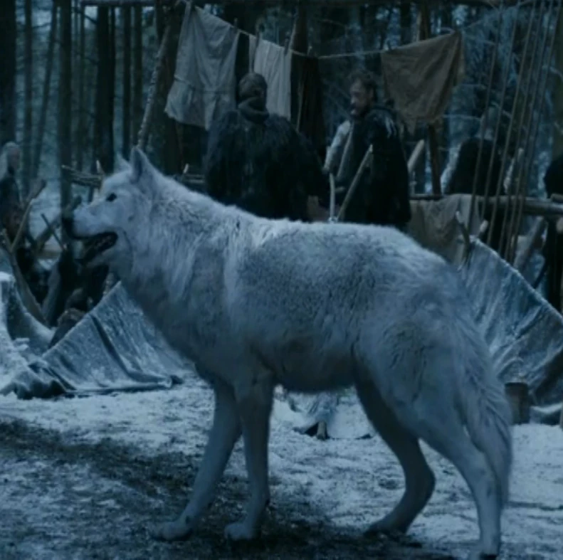 白灵| 冰与火之歌中文维基 | fandom