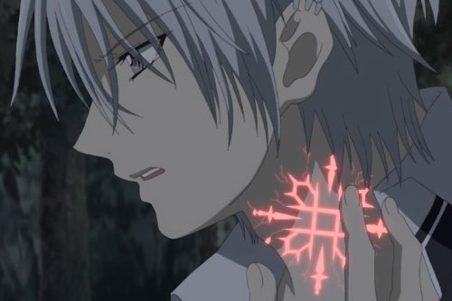 Zero Kiryu - Vampire Knight Wiki