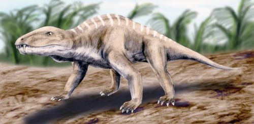 Titanophoneus - Cool Dino Facts Wiki